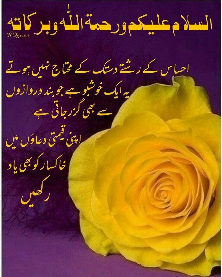 Allah Good Morning Wishes in urdu