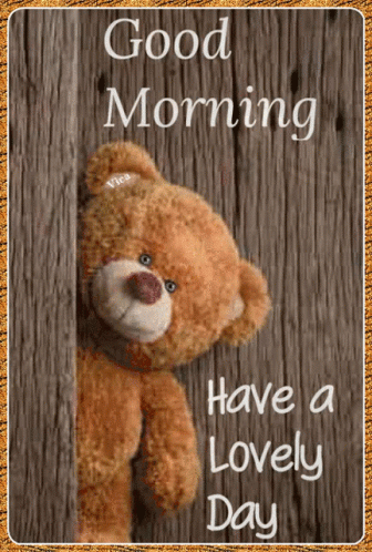good morning have a lovely day gif images