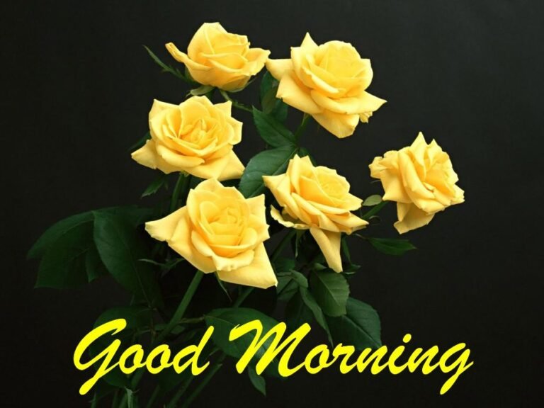 Rose Yellow Wishes Good Morning Image