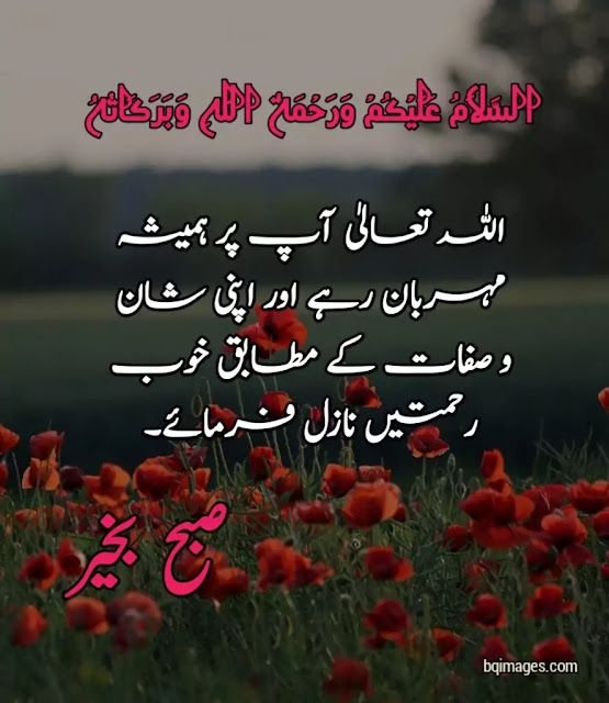 good morning wishes in urdu images