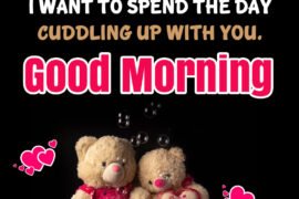 Cute Teddy Good Morning Message Image