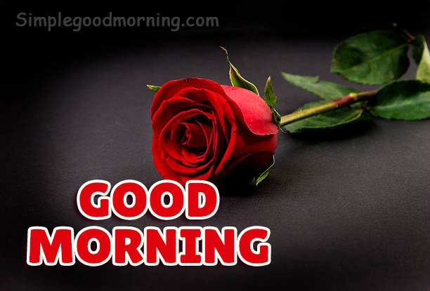 HD Red Rose Images for Good Morning