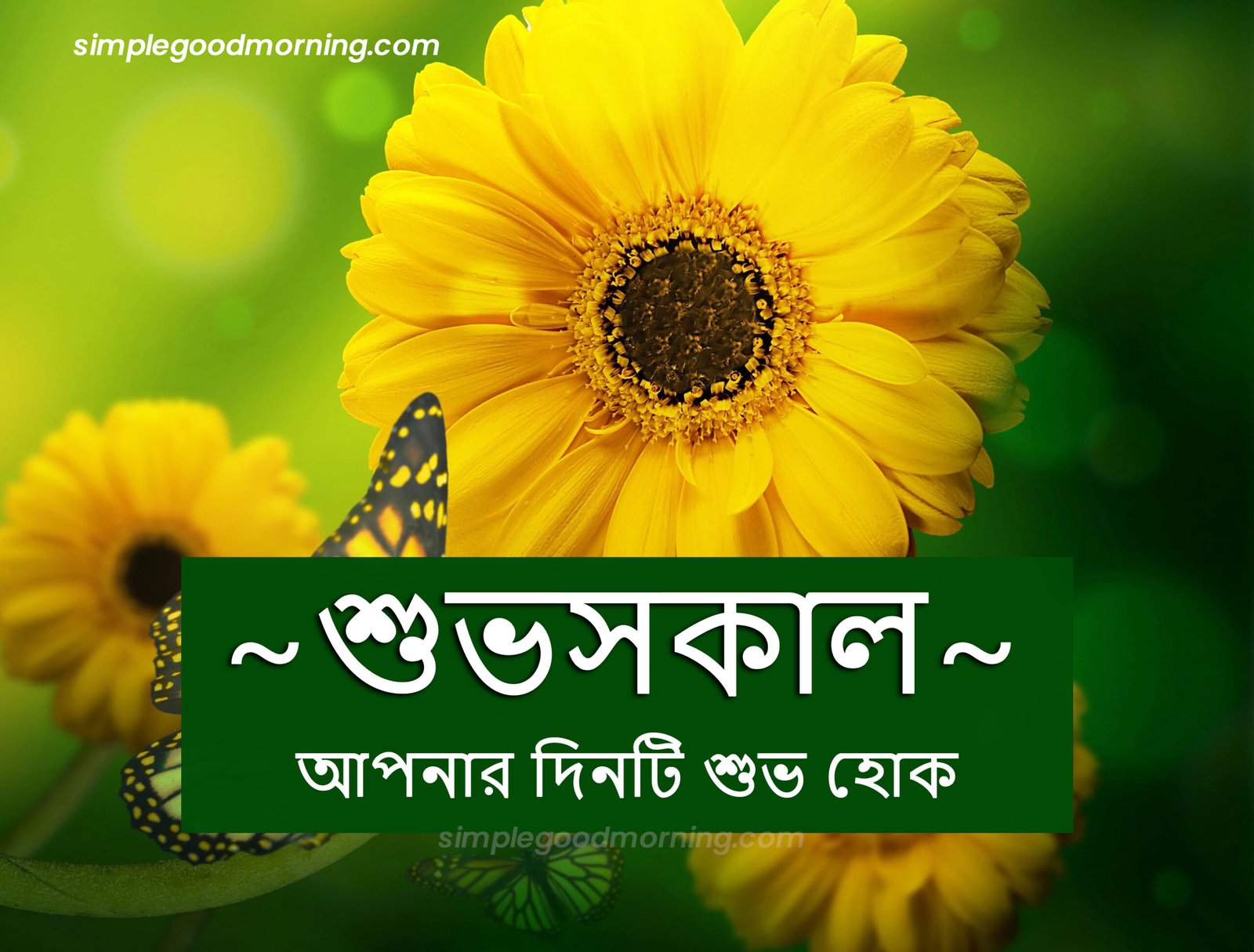 Bengali Morning Greetings