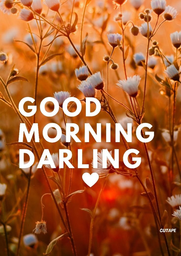Darling Morning Wish Pic