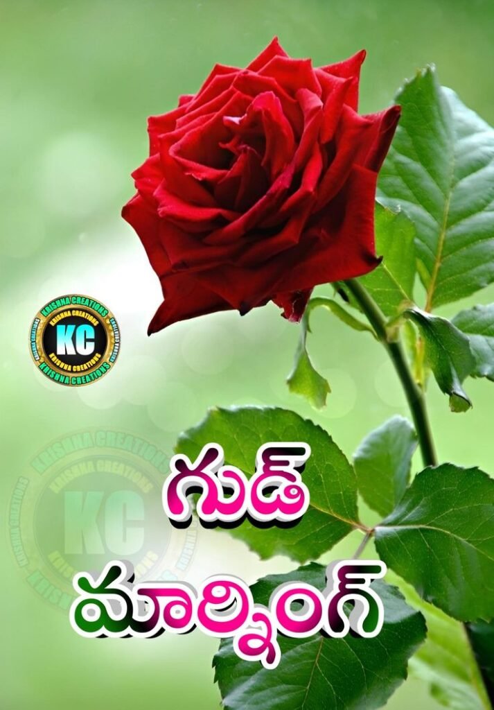 Telugu Good Morning Flower Pictures
