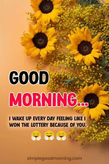 Free-Download-Sunflower-Morning-Pics