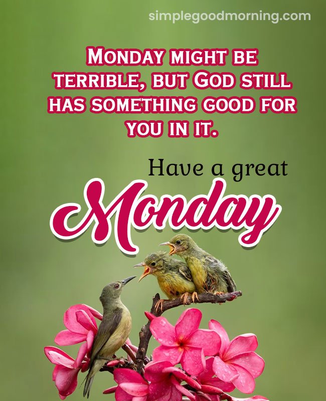 Have a great Monday